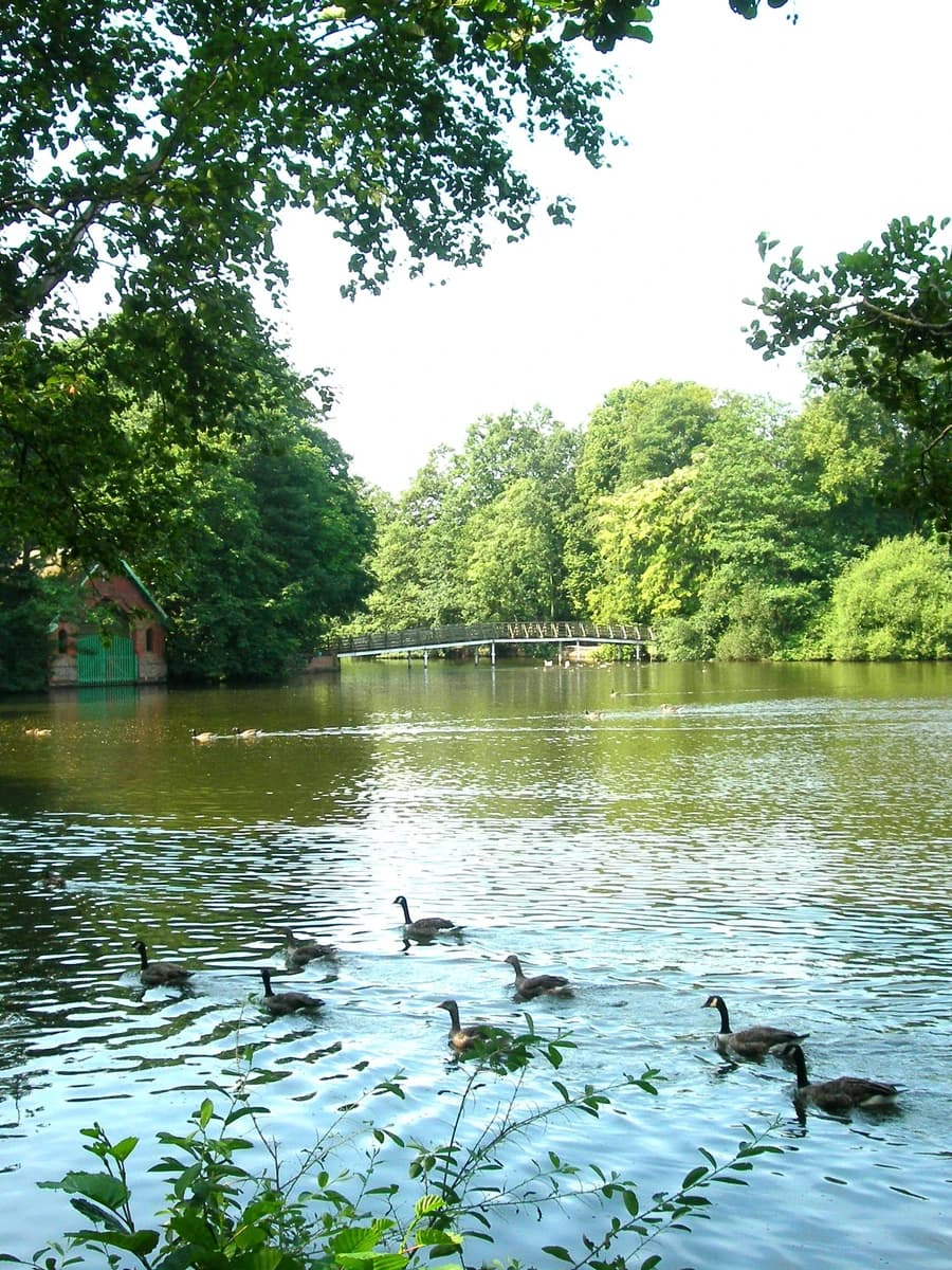 Hartsholme Park Lincoln