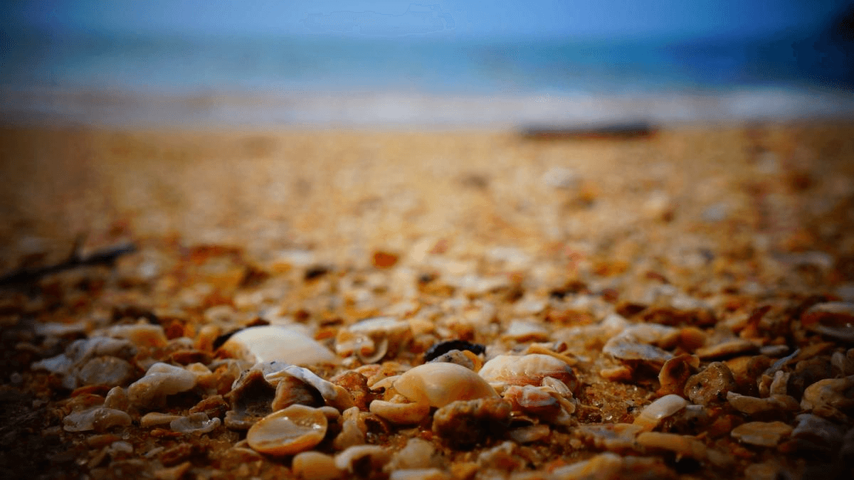 New Mental Health Hub Opens in Lincoln City Centre